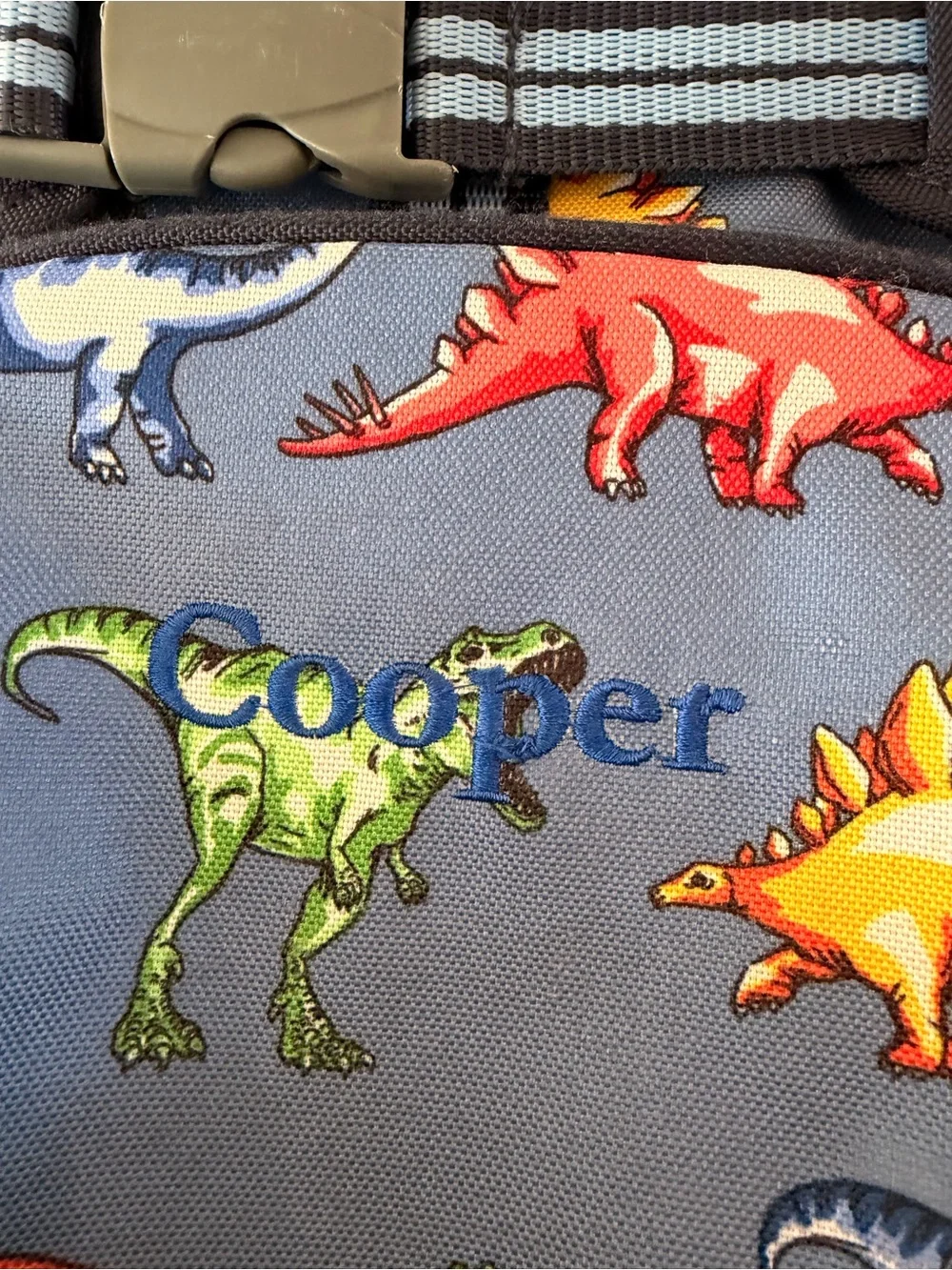 Pottery barn kids Blue multi Dino small Mackenzie Kids backpack